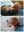 20230415_153629-COLLAGE.jpg