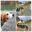 20230416_094341-COLLAGE.jpg