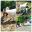 20230624_173659-COLLAGE.jpg