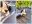 20230717_113059-COLLAGE.jpg