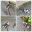 20230727_092756-COLLAGE.jpg