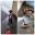 20230728_095543-COLLAGE.jpg