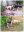 20230728_172316-COLLAGE.jpg