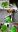 20230802_111455-COLLAGE.jpg