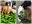 20230812_171924-COLLAGE.jpg