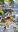 20230820_125515-COLLAGE.jpg