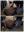 20230820_130031-COLLAGE.jpg