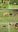 20230827_185059-COLLAGE.jpg