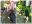 20230905_071455-COLLAGE.jpg