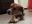 DSCN2479.JPG