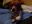 DSCN2634.JPG