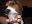DSCN2914.JPG