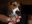 DSCN2915.JPG