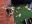 DSCN4539.JPG