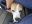 DSCN4589.JPG