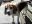 DSCN4625.JPG