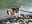 DSCN4643.JPG