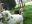 DSCN4702.JPG