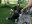 DSCN4705.JPG