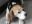 DSCN4711.JPG