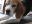 DSCN4712.JPG