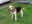 DSCN4775.JPG