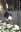 DSCN7905.JPG