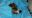 IMG-20180127-WA0014.jpg