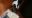 IMG-20180128-WA0000.jpg