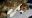 IMG-20180218-WA0014.jpg