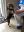 IMG-20180720-WA0019.jpg