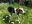 IMG-20190525-WA0013-1.jpg
