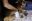 IMG-20190615-WA0023-1.jpg