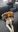IMG-20230104-WA0002.jpg