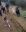 IMG-20230330-WA0083.jpg