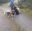 IMG-20230330-WA0085.jpg