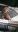 IMG-20230405-WA0017.jpeg