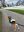 IMG-20230414-WA0016.jpg