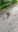 IMG-20230630-WA0022.jpeg