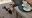 IMG-20230630-WA0029.jpeg