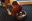 Screenshot_2019-01-31-19-34-19.png