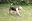 VID20230806113942_exported_3982.jpg