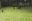 VID20230806115617_exported_25242.jpg