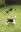 VID20230806115617_exported_89352.jpg
