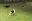 VID20230806115617_exported_97992.jpg