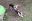 VID20230827111057_exported_33362.jpg