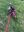 5C00391A-D2E5-4E17-8439-2AF57BBC4373.jpeg