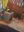 7F1D2629-141B-4C5D-BC8D-B8835B5B22E0.jpeg