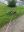 9EAB7A76-8246-4A51-B3C9-47B5B00F6839.jpeg