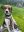 BCCC9A5C-1473-4292-BC48-B7C00CBB5A22.jpeg